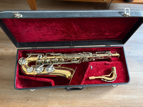 Vintage borgani macerata tenor - borgani,