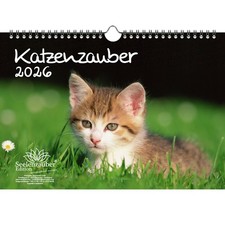 Katzenzauber DIN A4 Kalender