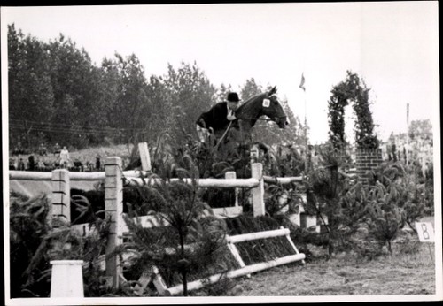 Foto springreiten sprung - ak, springreiten,