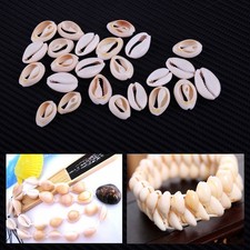 50* Natürlich  Kauri Muscheln