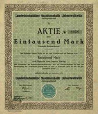 Landwirtschaftliche Maschinenhalle Liebertwolkwitz 1923 Leipzig Sachsen 1000 M