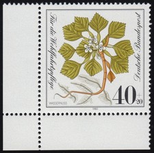 1108 Wohlfahrt Wassernuss