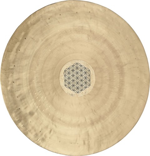 Meinl sonic energy - meinl, wgfol16