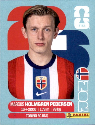 Panini world cup 2026 sticker - panini,