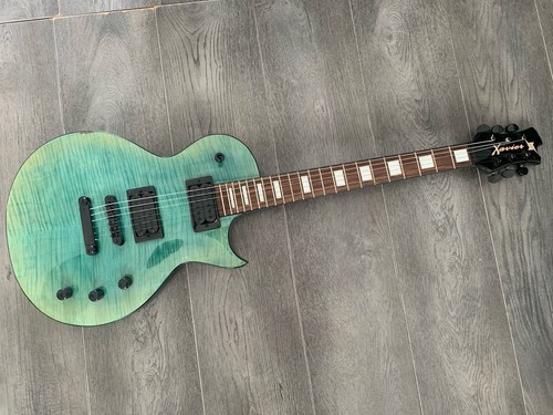 Xavier les paul - xavier, gitarre,