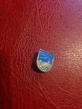  Alte Anstecknadel Souvenir