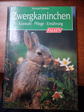 Falken - Zwergkaninchen Auswahl Pflege Ernährung
