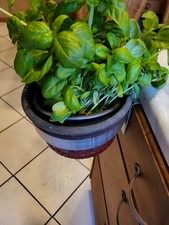 Blumentopf Halter Geländer Aus Edelstahl