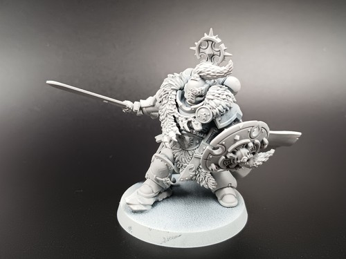 Wolf guard battle - leader, space
