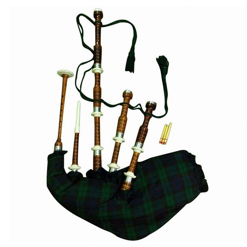 Scottish great highland - scottish,