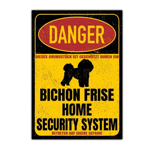 Bichon frise poil dog - a,