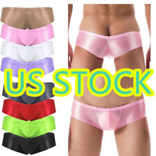 US!Mens Ice Silk Low Rise Briefs Underwear Sexy Gay Panties Pouch Bikini Bottoms