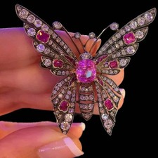 Altmodische Rose Schnitt