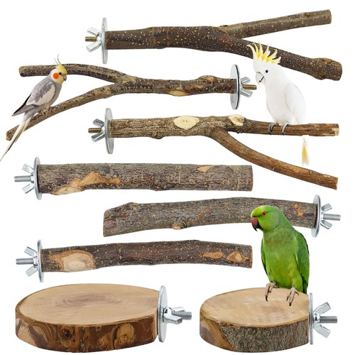 Vogel sitzstangen holz - vogel,