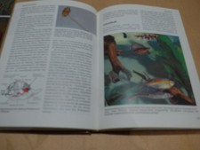 Das moderne Tierlexikon