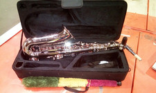 Alto Saxophone E Flat for Beginner Sax Full Kit with Carrying Case