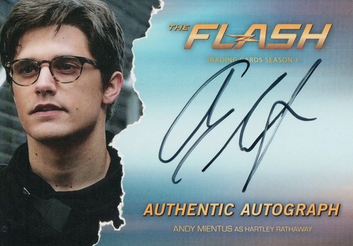 The flash staffel andy - flash,