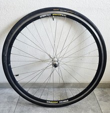 Ambrosio Focus Rennrad