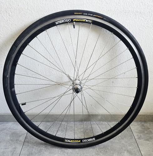 Ambrosio focus rennrad - ambrosio,