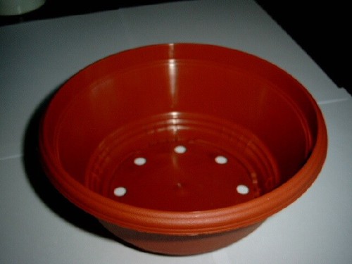 Pflanzschale terracotta 2 - pflanzschale,