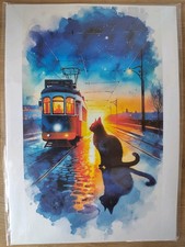 Katzenbild aus lissabon - katzenbild,