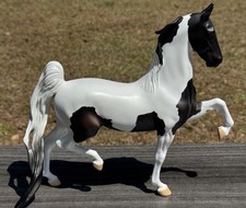 Peter Stone Pinto Paint
