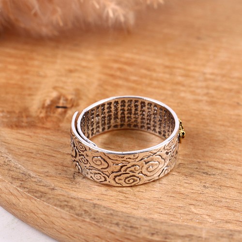 Feng shui pixiu charms - feng,