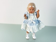 Schildkrötpuppe Tortulon