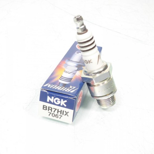 Zündkerze ngk für moped - ngk, ktm