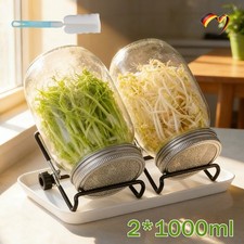 Sprossenglas Keimglas