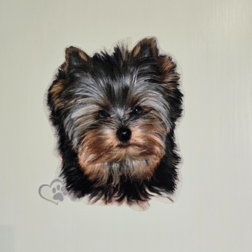 Yorkshire terrier aufkleber - yorkshire,