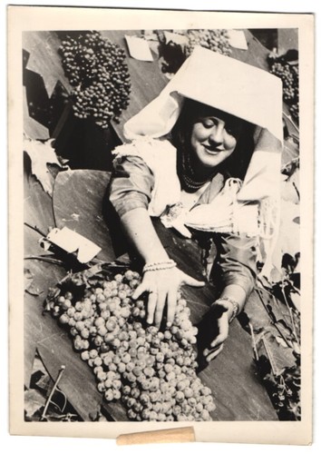 Fotografie weinlese - fotografie,