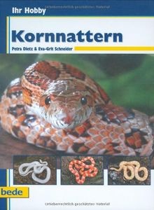 Kornnattern ihr hobby von - hobby,