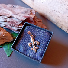 Kettenanhänger Anhänger  Lilie Königslilie Fleur de Lys silber Farbe Kette (1)