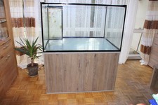 Außergewöhnliches Aquarium