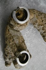 Eckige Klapp-Creolen  Silber