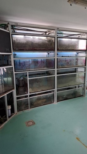 Aquarien gebraucht für