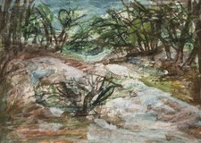 Waldlandschaft, Aquarell