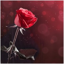 Wallario Premium Glasbild