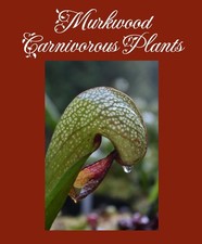 NEW 2025! Darlingtonia