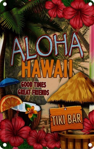 Blechschild 30x20 hawaii - cm,