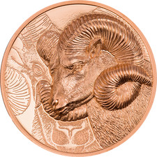 250 Togrog 2022 Mongolia -