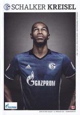 Schalke gegen hamburger - schalke,