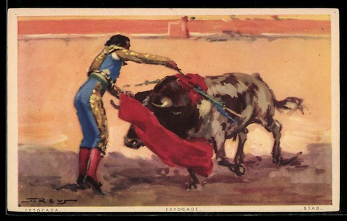Torero beim stierkampf - torero,