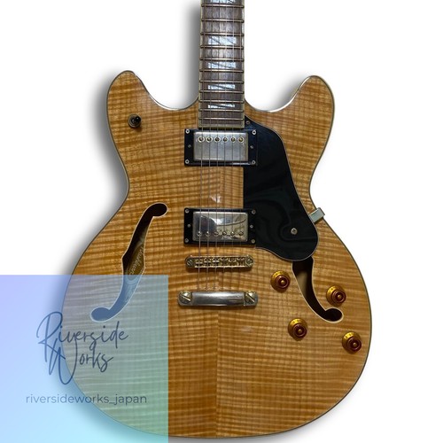 Washburn semi hollow - nk, semi-hollow
