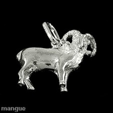 Sternzeichen Anhänger -