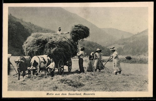 Ansichtskarte bauern bei der - bauern,