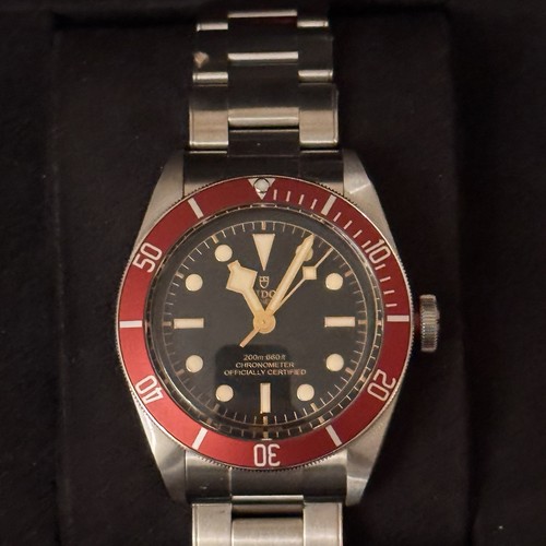 Tudor black bay - bay, schwarzes