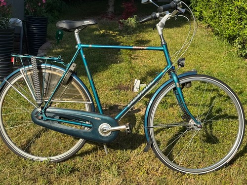 Gazelle avignon hollandrad - avignon,