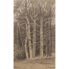 Heinrich langemann wald - langemann,